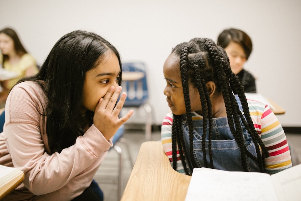 When Your Child is the Bully By Educate and Empower Kids and Dina Alexander
